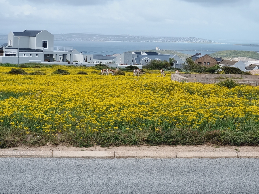 3 Bedroom Property for Sale in Hoogland Western Cape